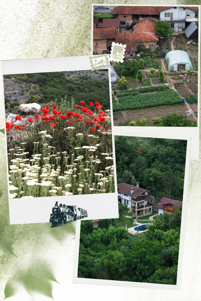 Photo collage of flowers and farm life in Cherven