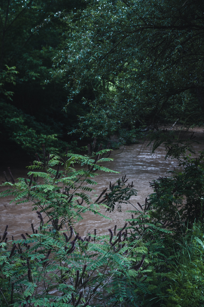 Rusenski Lom River near Cherven