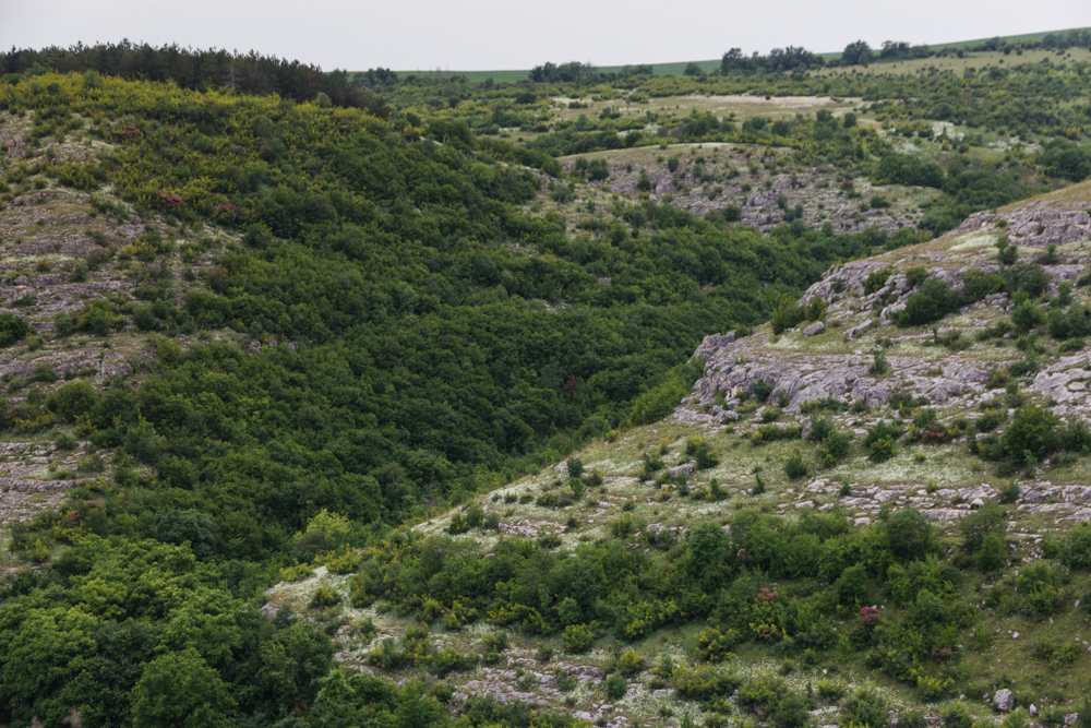 Greens and cliffs on the other side of the river 2