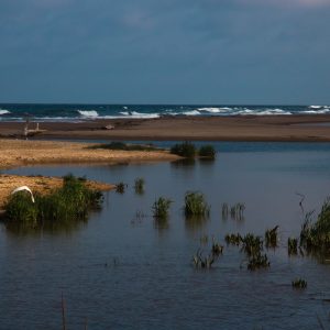 Kamchiya Beach where the river flows meets the sea