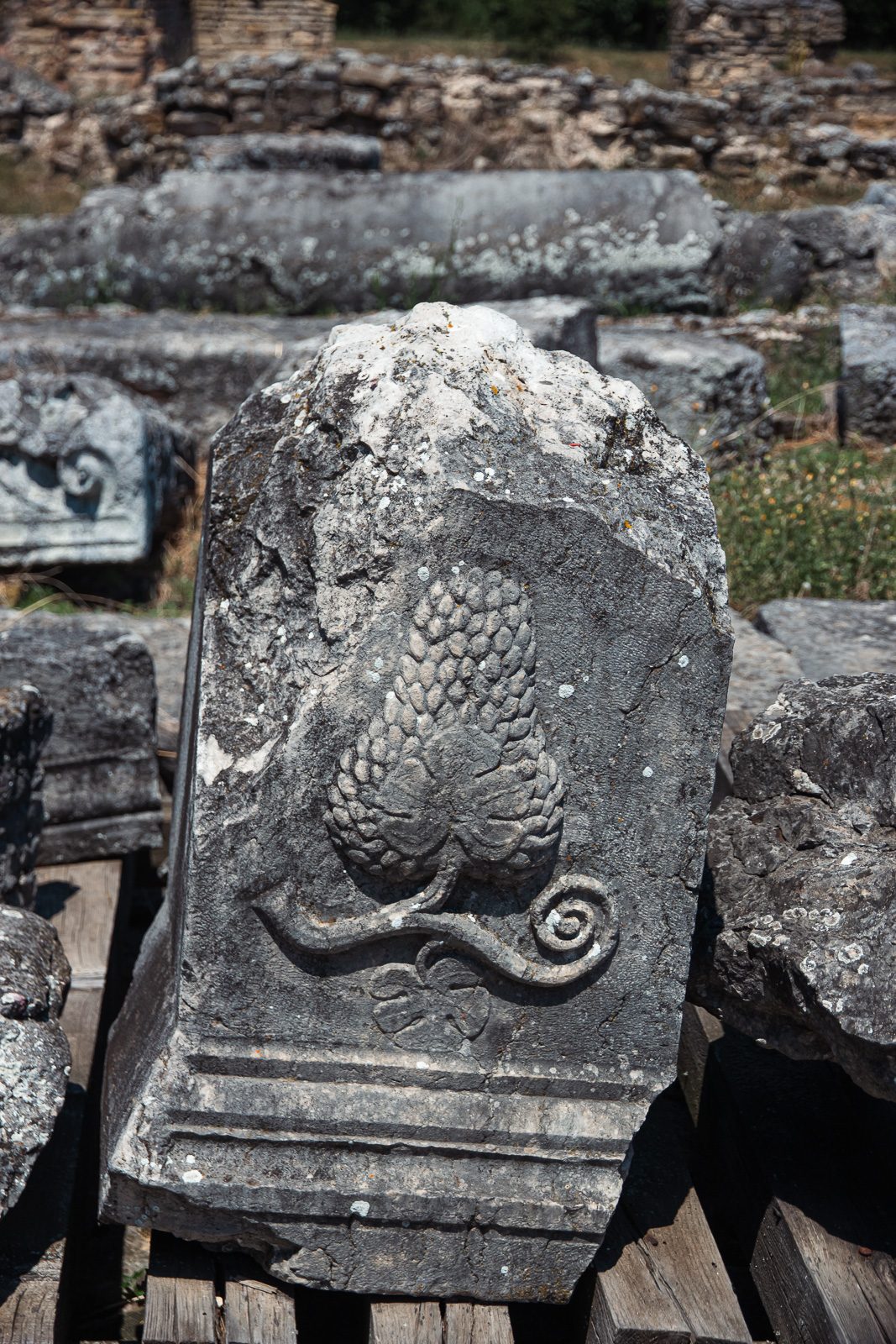 a stone decoration carving of grape vines in Nicopolis ad Istrum