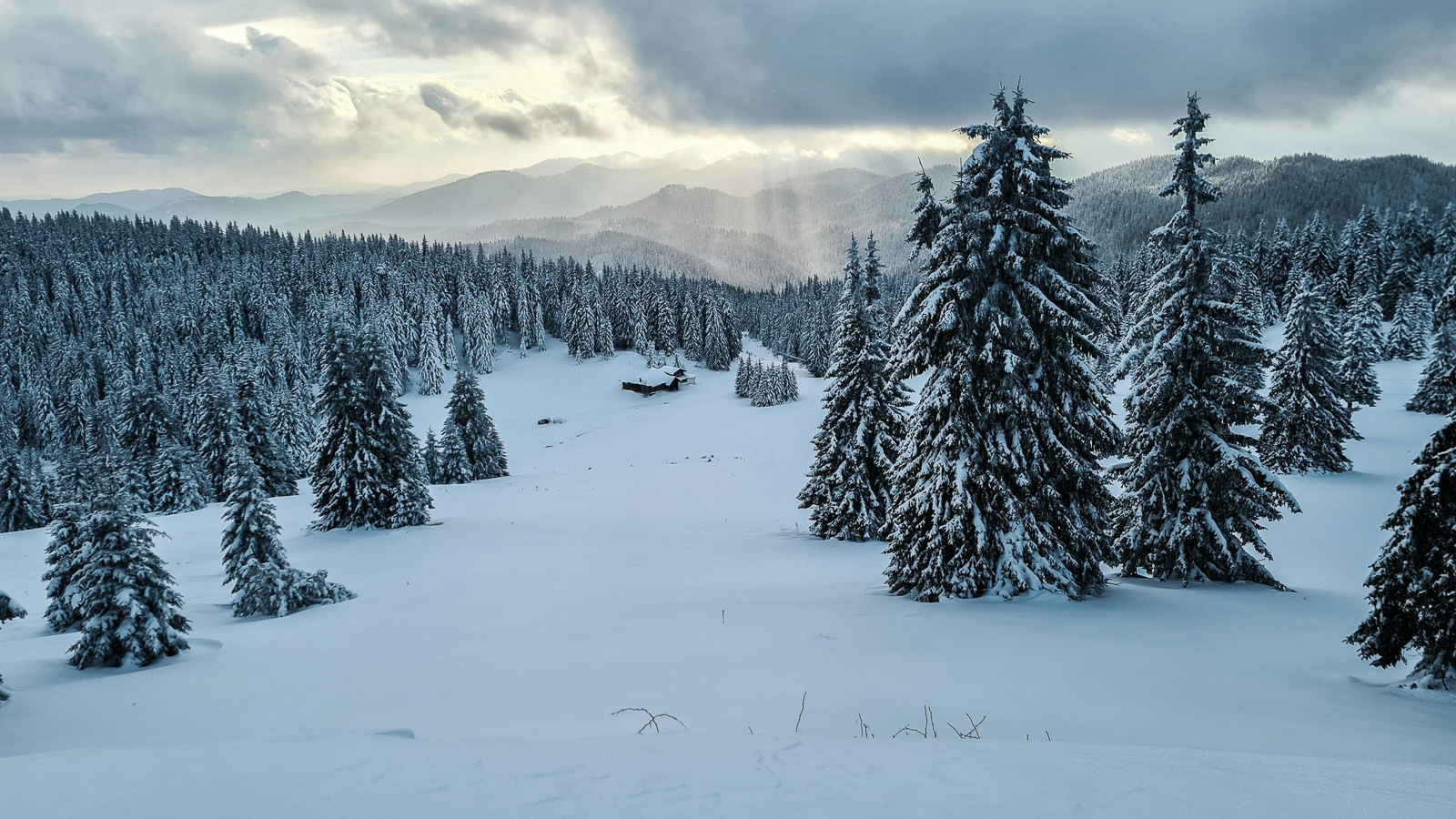 Winter panorama photo of Pamporovo and Rhodope mountains