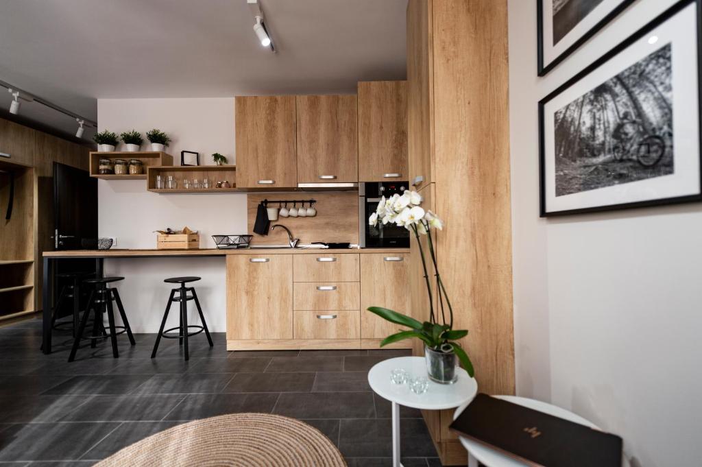 Borovete mountain luxury apartment (affiliate link)