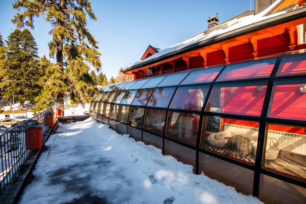 Villa Sokol winter garden (affiliate link)