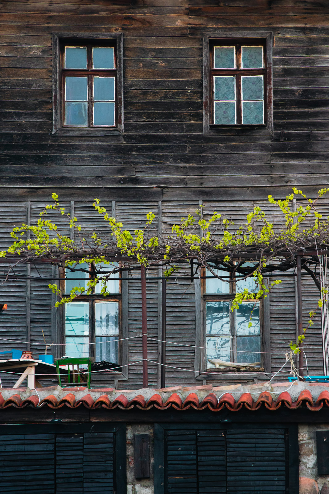 close up of tall wooden house with vines and red tiled roof
