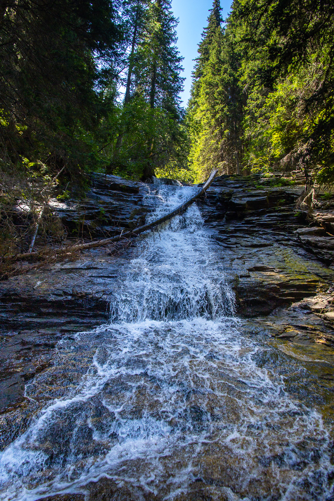 small waterfall in the forest