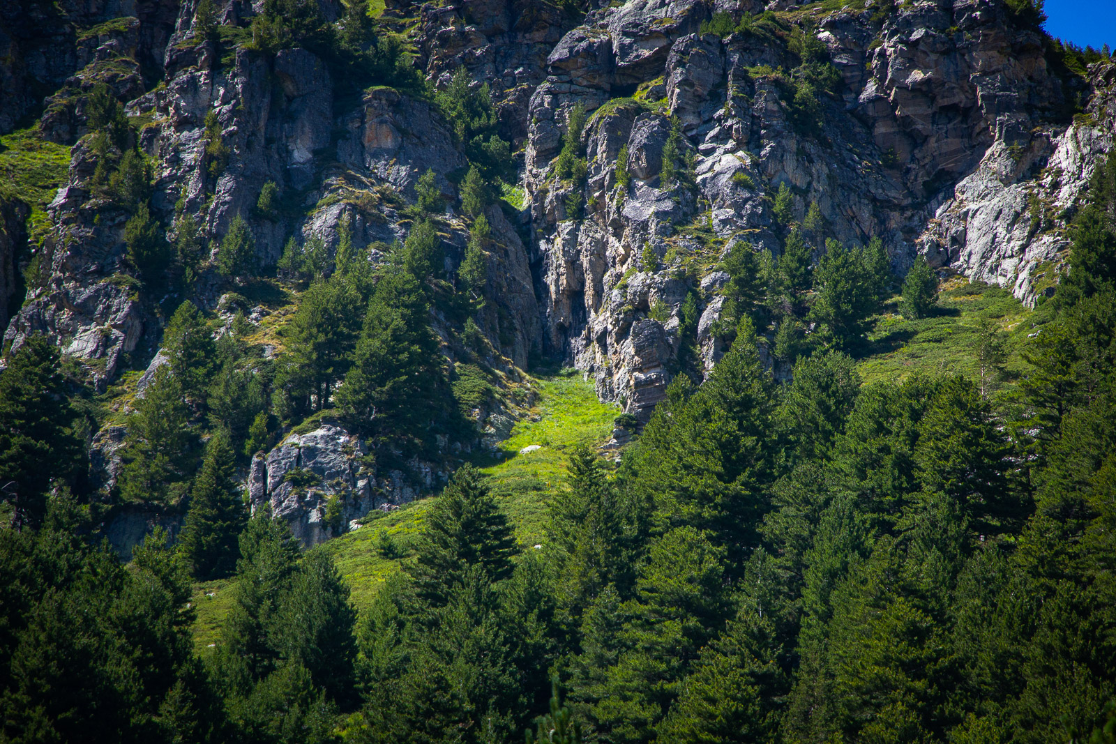bright green meadows under vertical cliffs