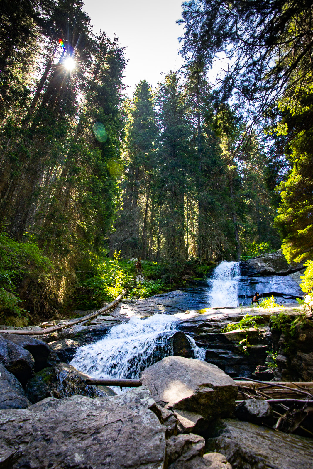 waterfall under evergreen pine forest and the sun shining