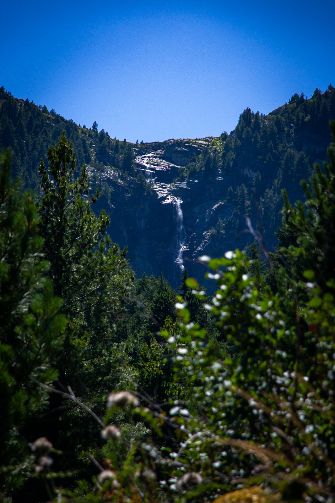 Cliffs with waterfall as seen from a distance through some pine trees