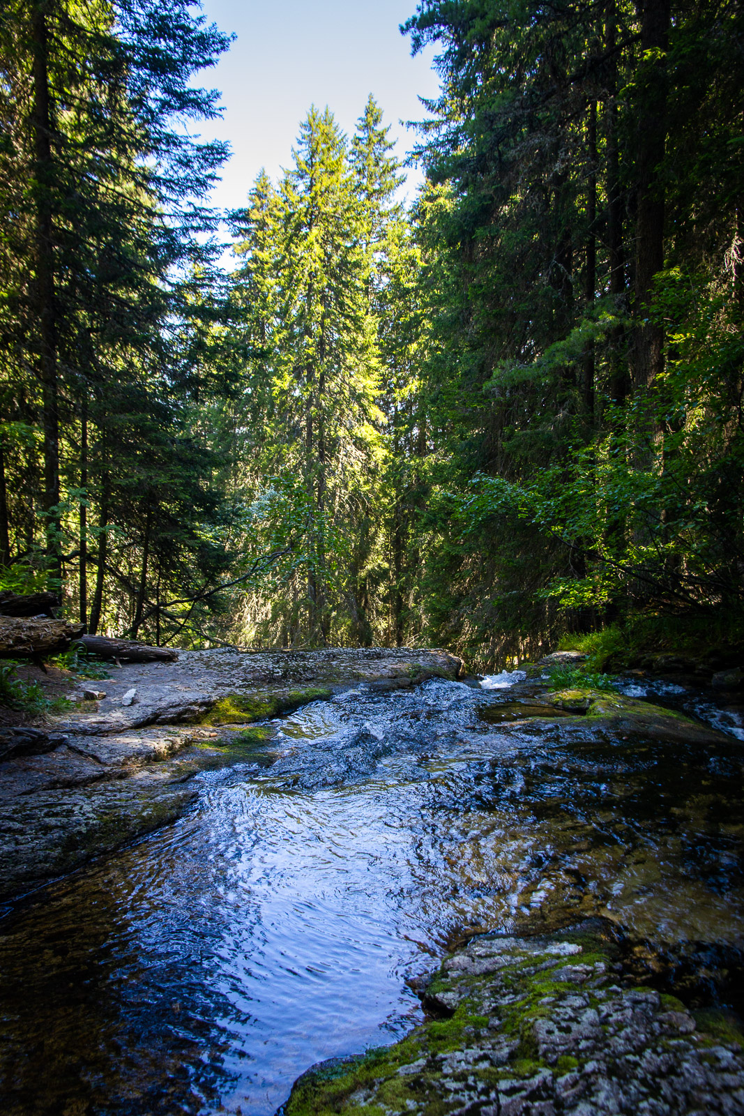 Skakavitsa river in the forest