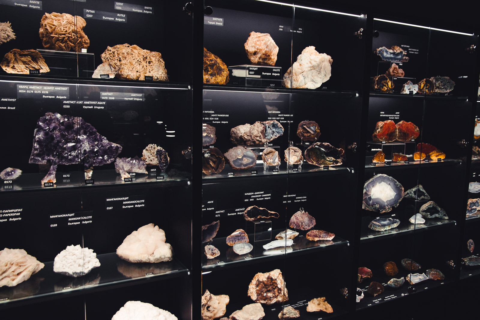 showcase of various minerals