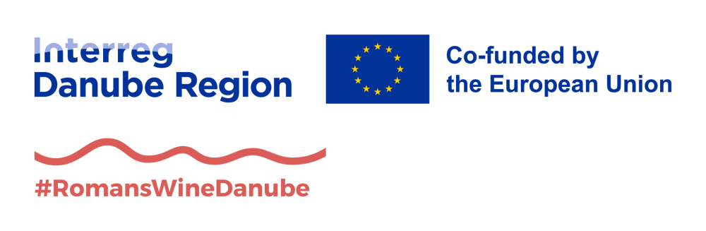 Logo for Interreg Danube Region project